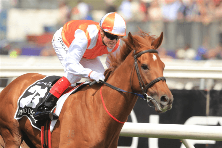 VOW AND DECLARE winning the Lexus Melbourne Cup at Flemington in Melbourne, Australia.