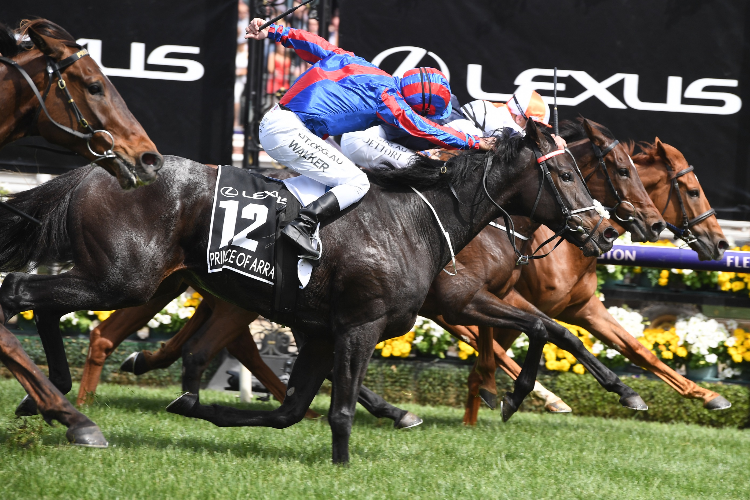 VOW AND DECLARE winning the Lexus Melbourne Cup.