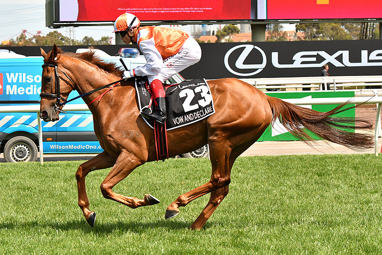 Vow And Declare winning the Lexus Melbourne Cup