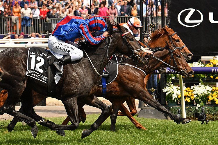 Vow And Declare winning the Lexus Melbourne Cup