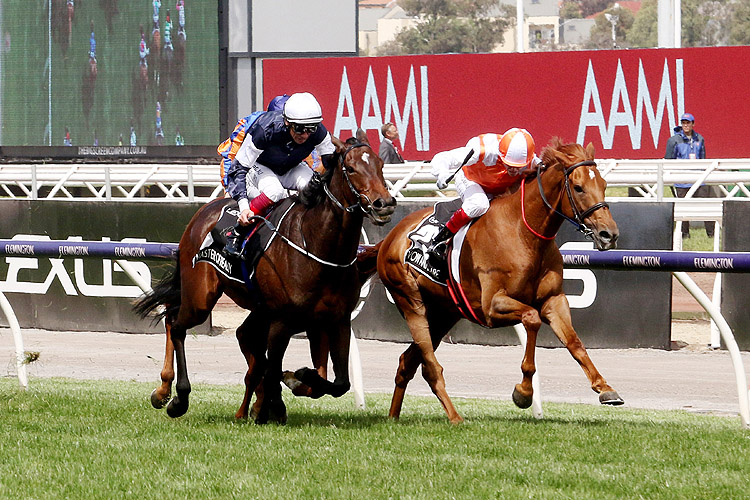 Vow And Declare winning the Lexus Melbourne Cup