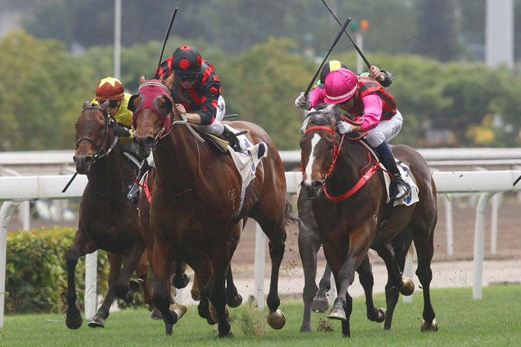 Waikuku drew 14 in the BMW Hong Kong Derby. Waikuku drew 14 in the BMW Hong Kong Derby.