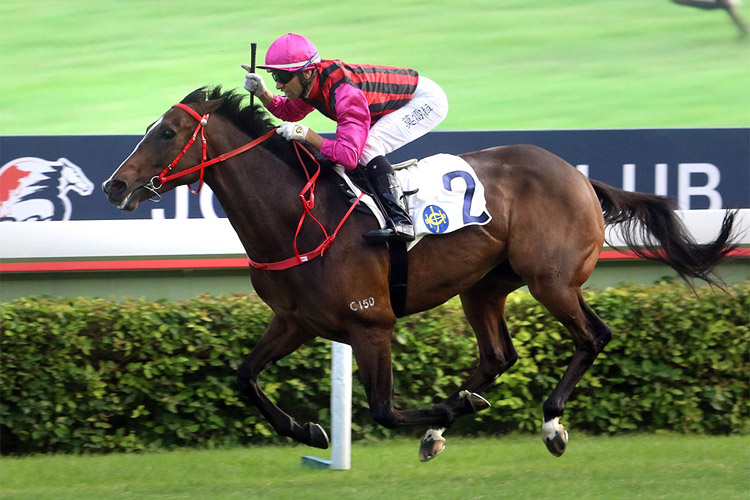 Waikuku winning the The Jockey Club Mile