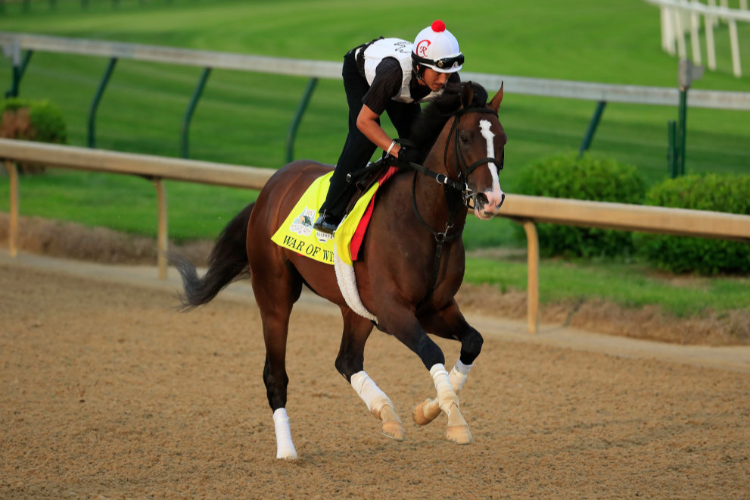 WAR OF WILL runs on the track during morning training for the Kentucky Derby at Churchill Downs in Louisville, Kentucky.