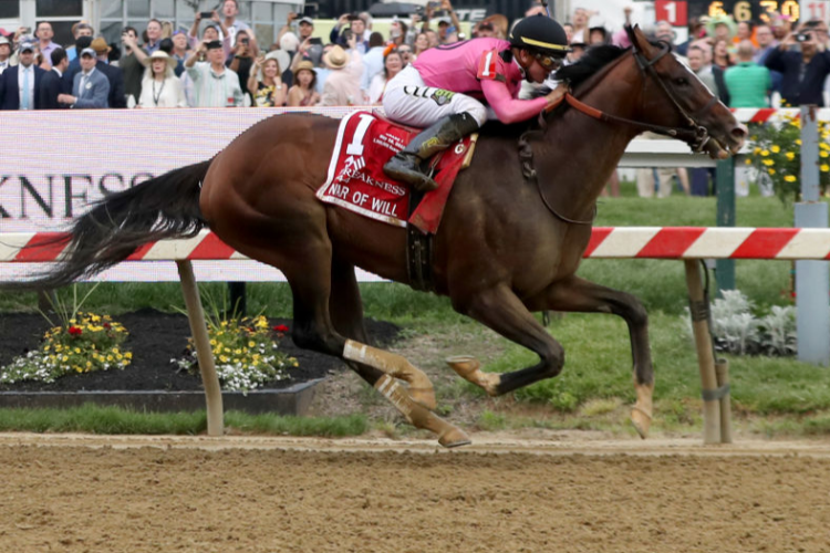 WAR OF WILL winning the Preakness Stakes at Pimlico in Baltimore, Maryland.