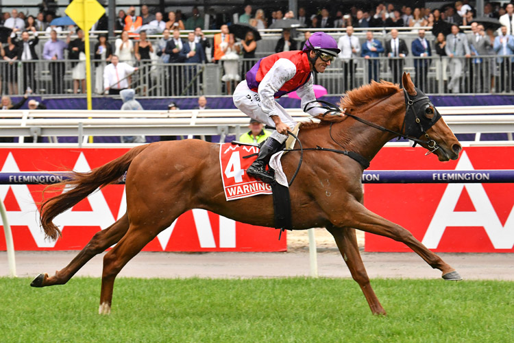 Warning winning the Aami Victoria Derby