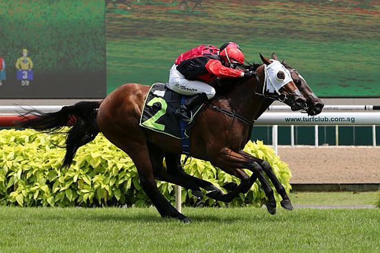 Water Rocket winning the VICTORIA HARBOUR STAKES RESTRICTED MAIDEN
