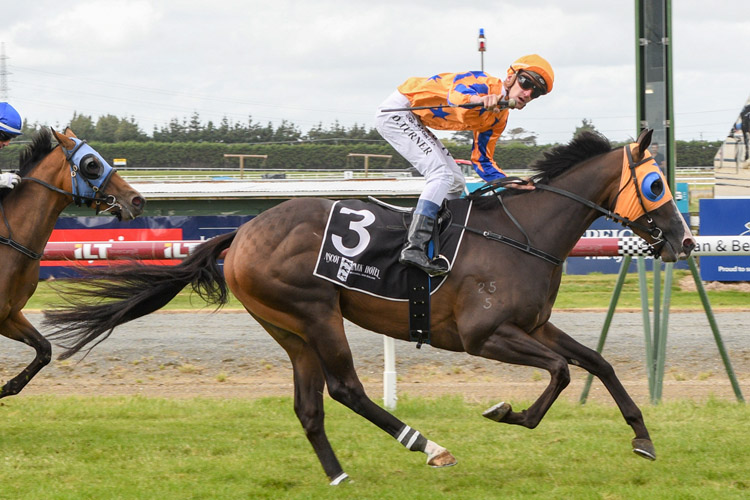 Weaponry winning the Southland Guineas