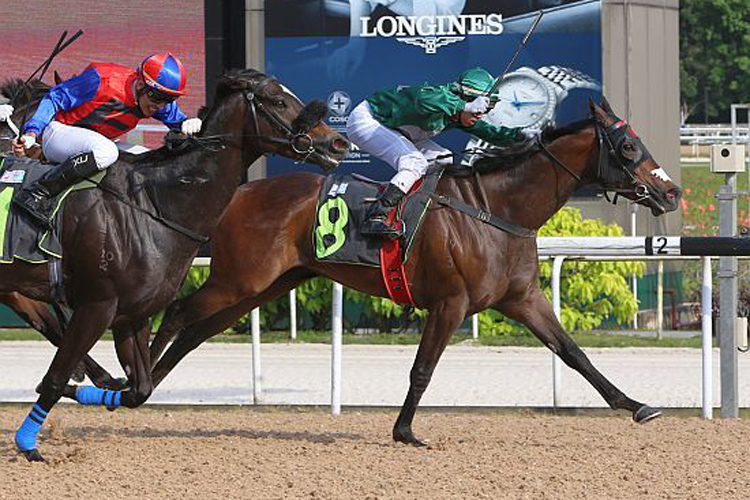 Webster winning the KRANJI STAKES B