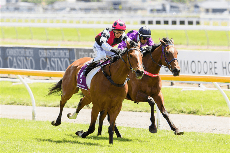 WHAT'S UP ALF winning Kncooltainer Premier during 1000 Guineas Day at Riccarton Park in Christchurch, New Zealand.