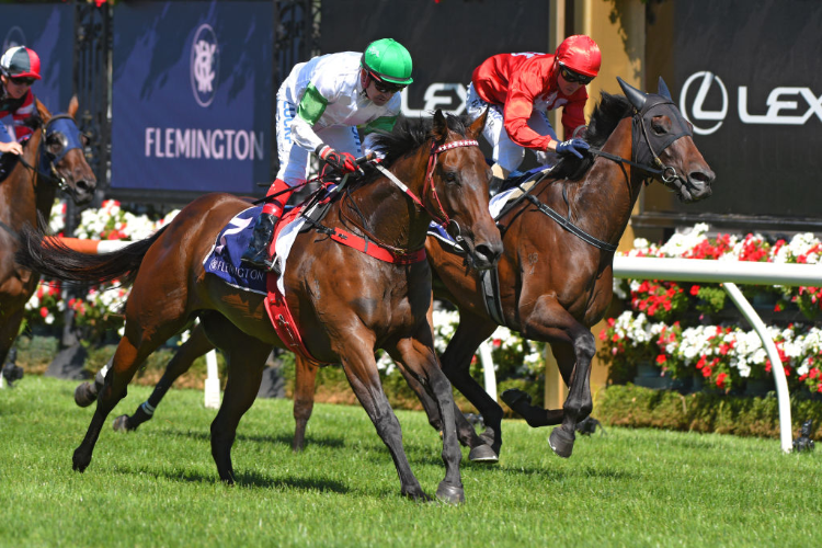 WHISPERING BROOK winning the Standish Handicap Race at Flemington in Melbourne, Australia.