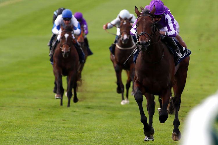 Wichita winning the Tattersalls Stakes (Group 3) (Registered As The Somerville Tattersall Stakes)