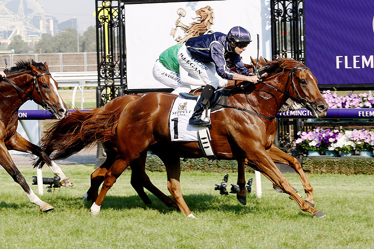 Widgee Turf winning the Seppelt Wines March Stakes
