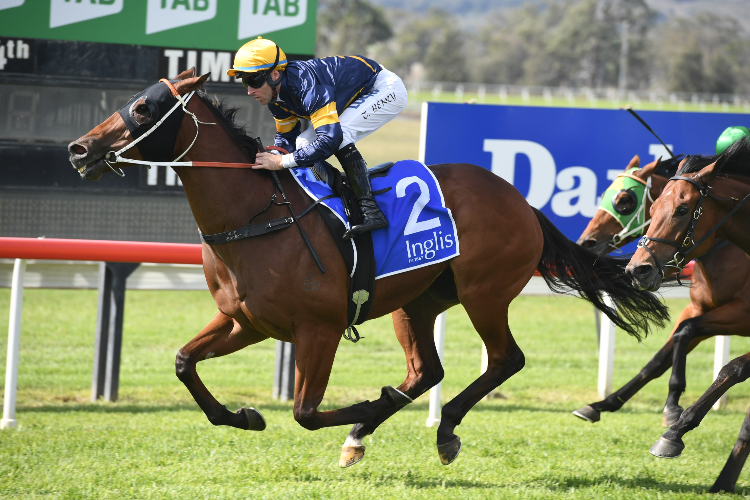 Wild Planet wins at Scone Wild Planet wins at Scone