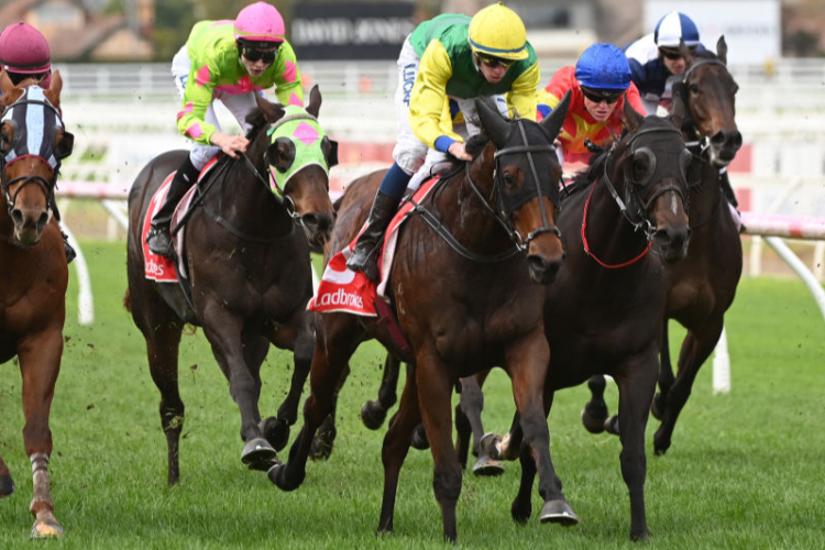 WILLIAM THOMAS winning the Ladbrokes Back Yourself Handicap during Melbourne Racing at Caulfield in Melbourne, Australia.