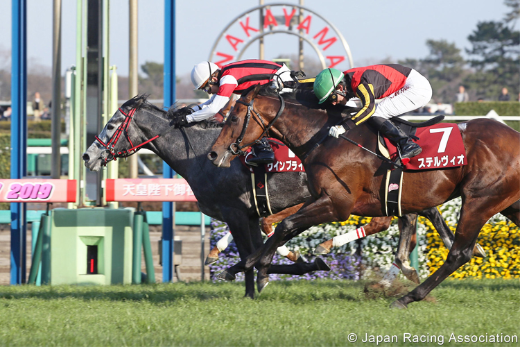Win Bright (rail side) lands back-to-back wins in the G2 Nakayama Kinen.
