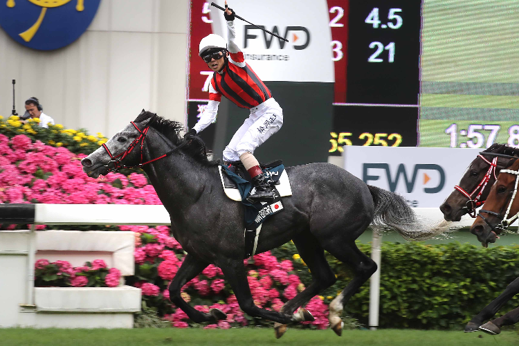 WIN BRIGHT winning the Fwd QEii Cup at Sha Tin in Hongkong.