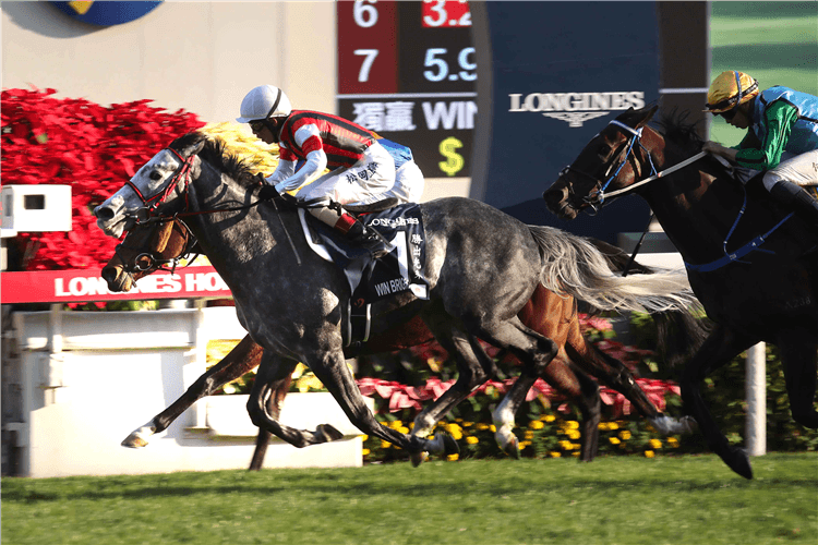 WIN BRIGHT winning the Longines Hong Kong Cup at Sha Tin in Hong Kong.