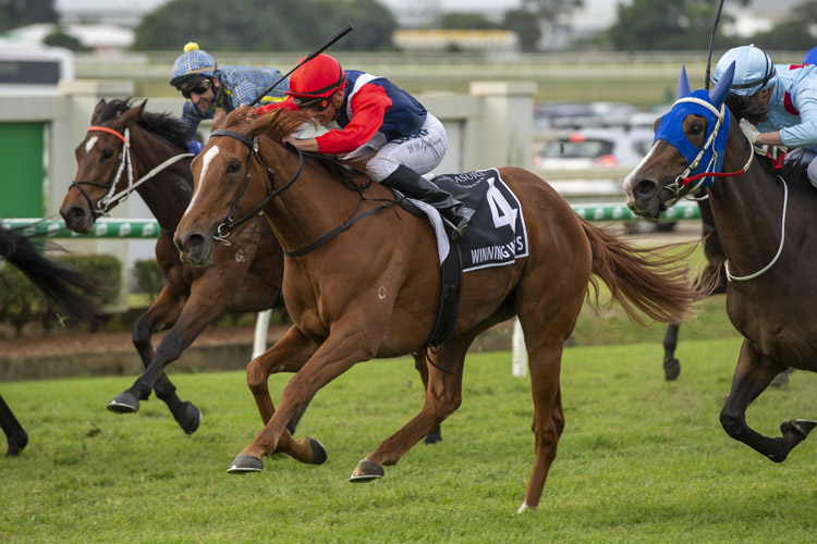 Winning Ways winning the Treasury Brisbane Qld Oaks