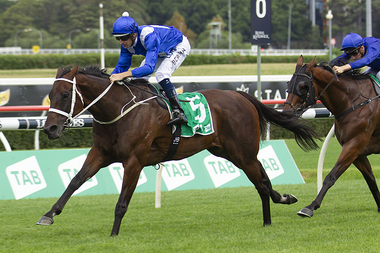 Winx winning the Tab Chipping Norton Stakes Winx winning the Tab Chipping Norton Stakes