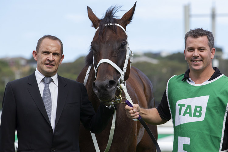 Winx posing after, winning the Tab Chipping Norton Stakes.