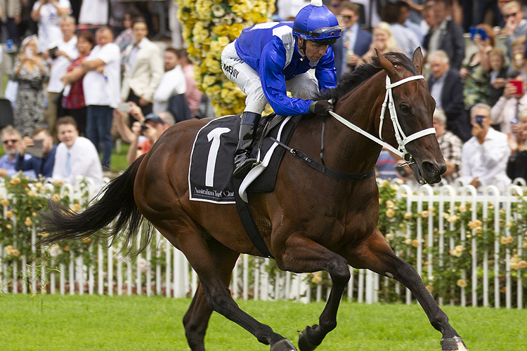Winx trialing on 16 March 2019