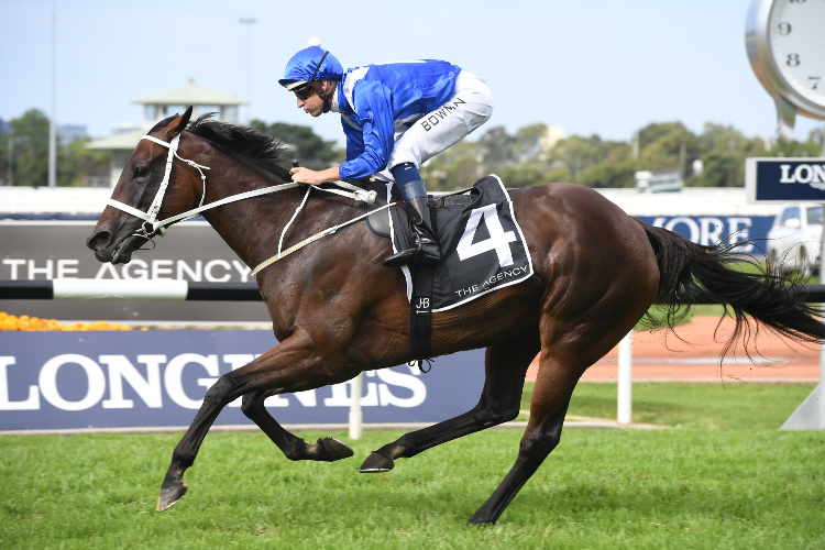 WINX winning the The Agency George Ryder Stakes.