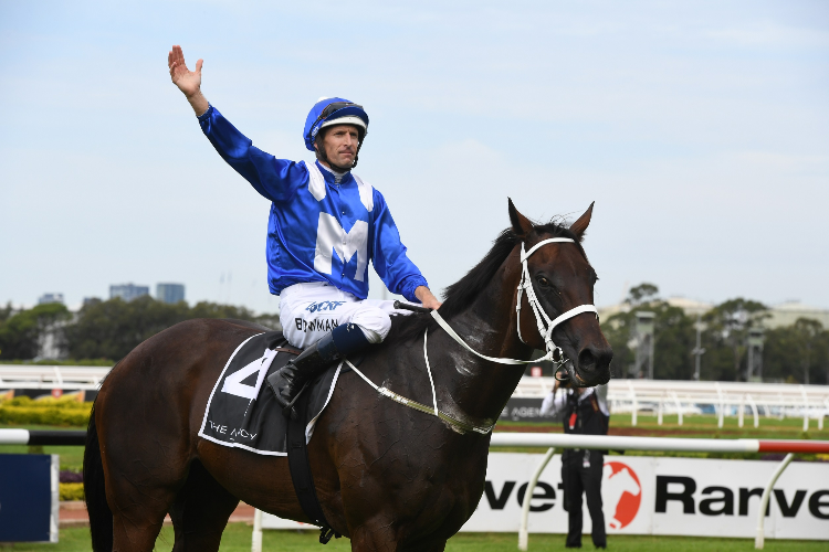 The Magic Bloodstock silks made famous by the mighty mare Winx.