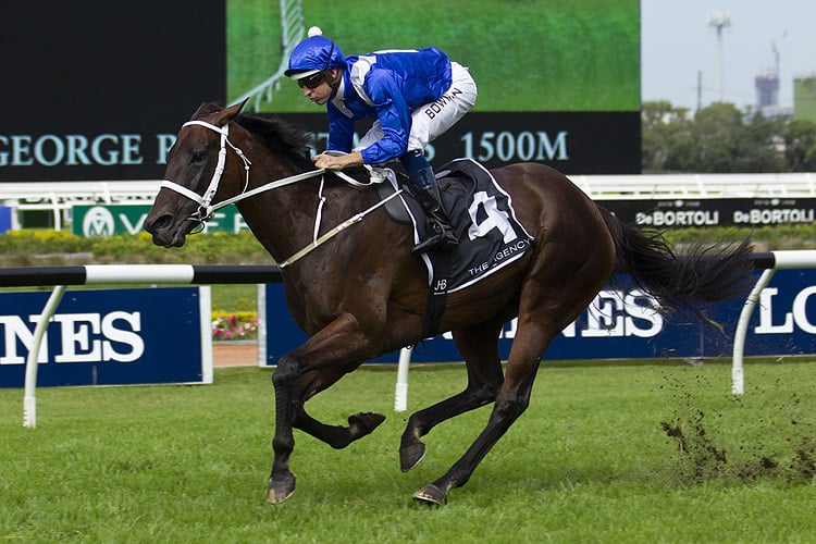 Winx winning the The Agency George Ryder Stakes