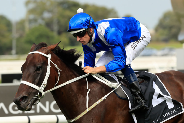 WINX winning the Agency George Ryder Stakes during Golden Slipper Day at Rosehill Gardens in Sydney, Australia.