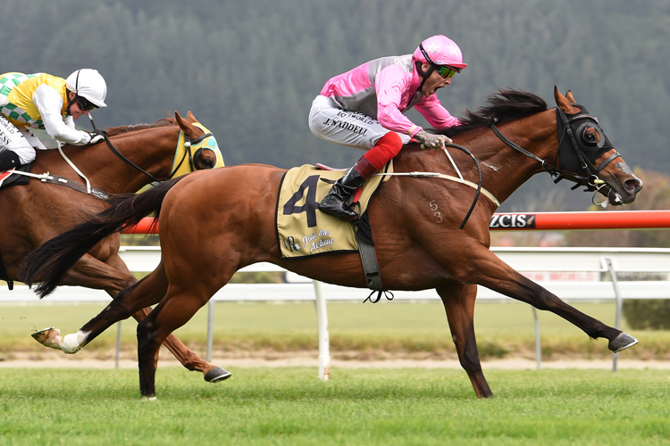 Wyndspelle winning the Rydges Captain Cook Stakes