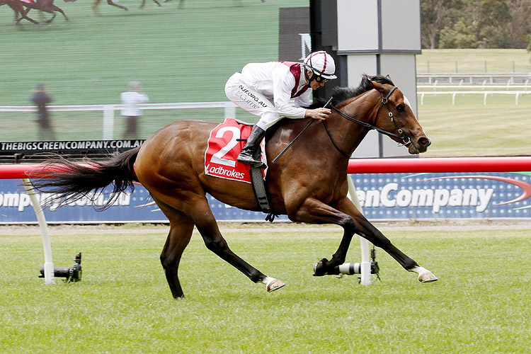 Xilong winning the Mrc 6 Mth M'ship Twilight Glow