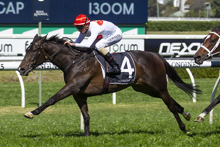 Yao Dash winning the Strawberry Hill Stud (Bm72)