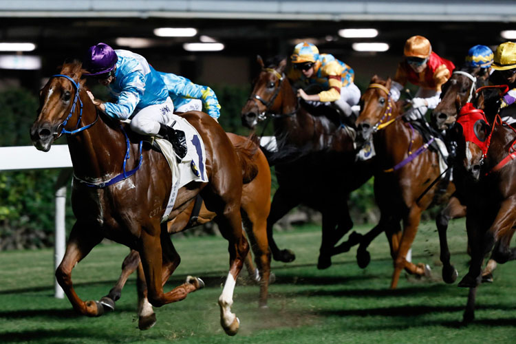 Three up for Zac Purton on Jimmy Ting's Yee Cheong Baby. Three up for Zac Purton on Jimmy Ting's Yee Cheong Baby.