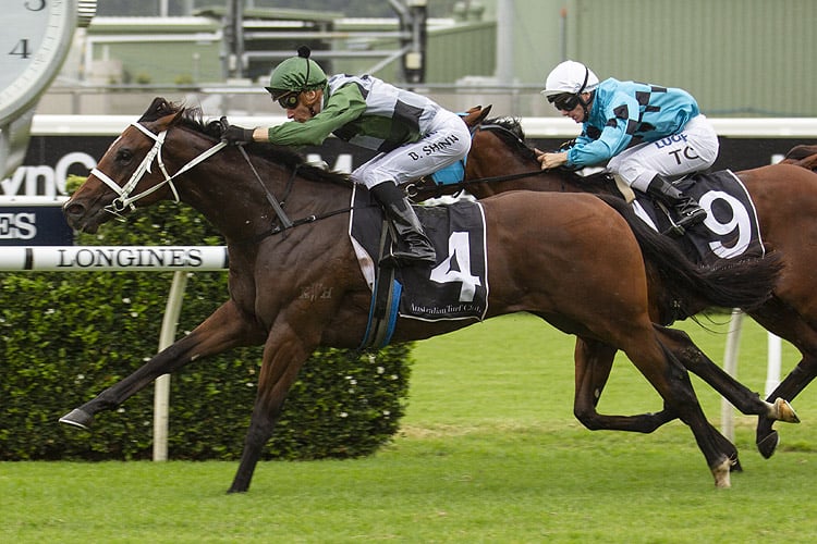 Yes Yes Yes winning the Unsw Todman Stakes