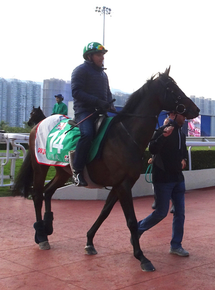 Young Rascal - 2019 HKIR