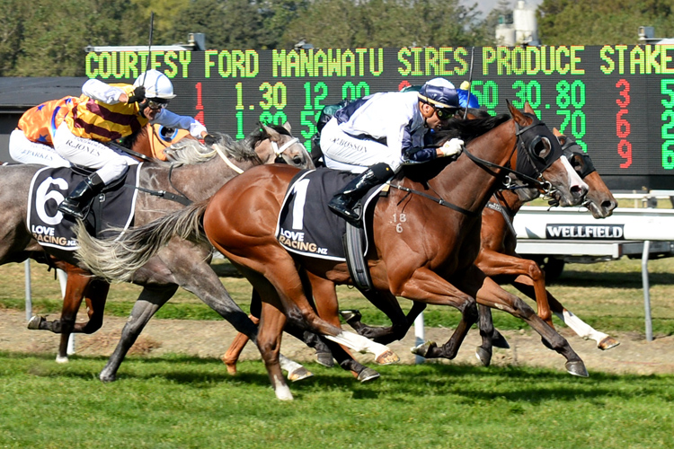 Yourdeel winning the Manawatu Sires Produce Stakes