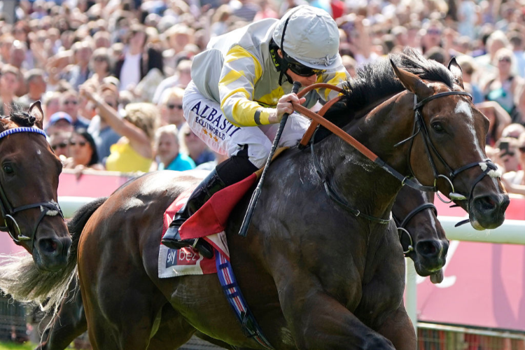 Money Comes For Zaaki In Doomben Cup Tilt Racing and Sports