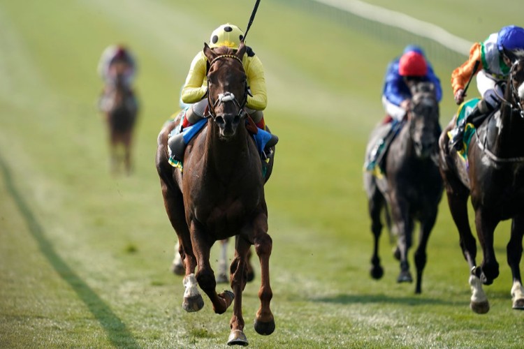 ZABEEL PRINCE winning the bet365 Earl Of Sefton Stakes in Newmarket, England.