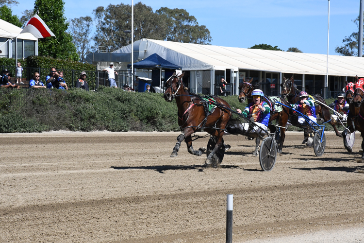 Danny Scanlan scores with Ziggy Rocks at Menangle today.