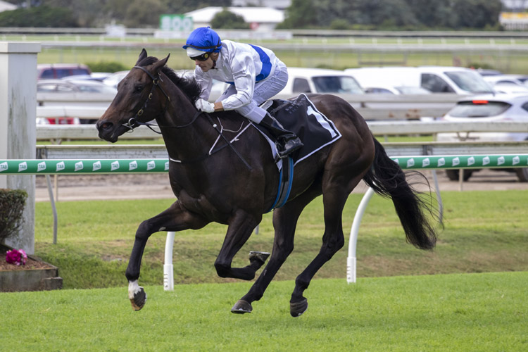 Zoustyle winning the Jra Plate