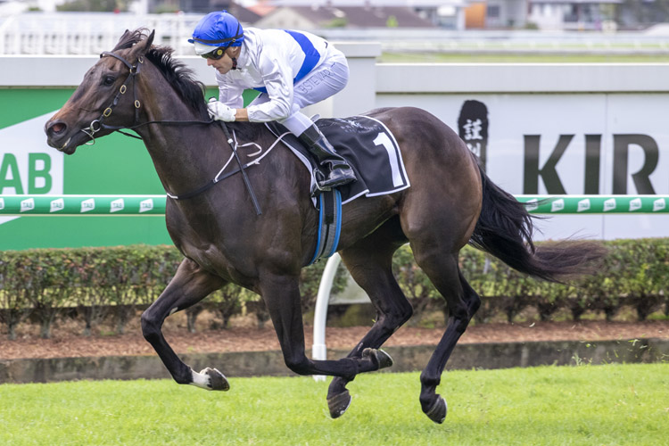 Zoustyle winning the Jra Plate