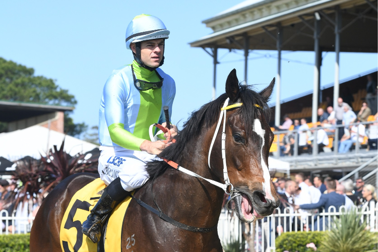 Jockey AARON BULLOCK after the winning Greenway Turf Solutions Maiden.