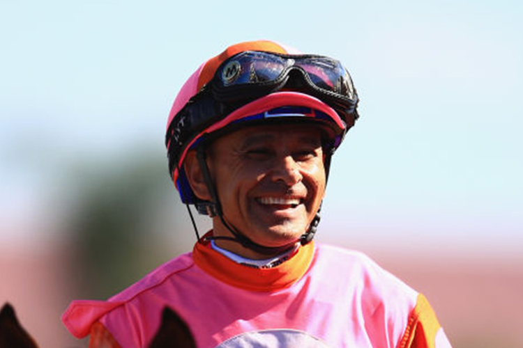 Jockey : Mike Smith