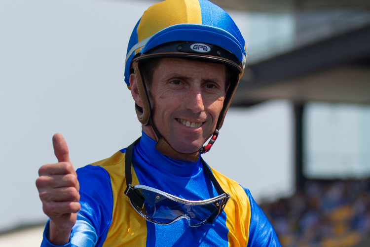 Winning rider Nash Rawiller is back aboard Grand Piano on Saturday