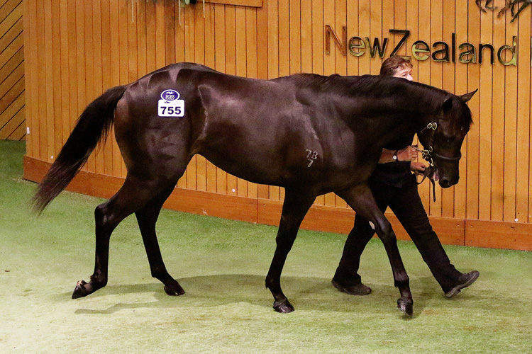 Lisa Latta went to $160,000 to secure lot 755, the Kermadec colt out of Flying Spur mare House of Borgia.