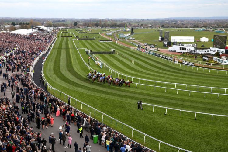 Racecourse : Aintree.