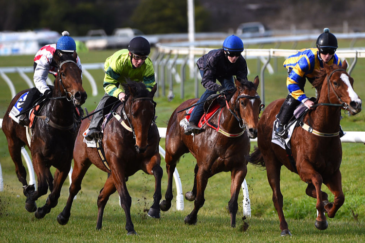 Barrier trials at Cranbourne in Cranbourne, Australia.