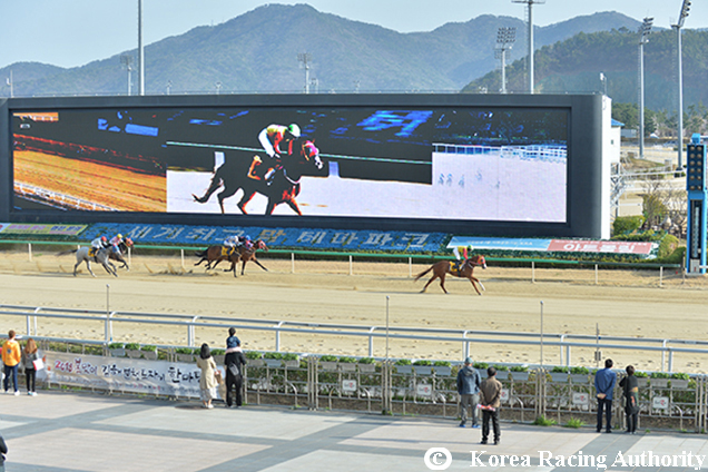 Racecourse : Busan