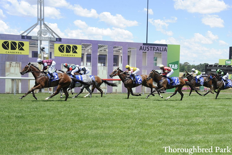 Canberra Racecourse.